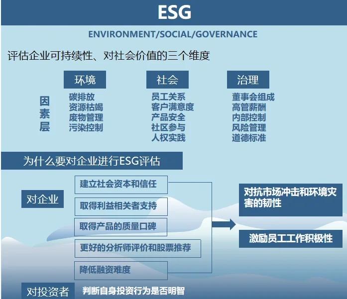 双碳战略咨询服务(双碳战略是什么意思)鸡西市